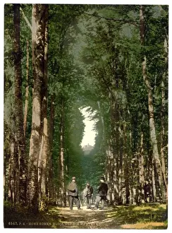 Wartburg Prints: Hohesonne and view of the Wartburg, Wartburg, Thuringia, Ger