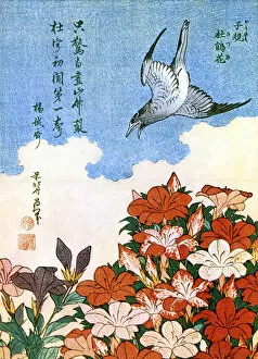 Images Dated 16th November 2015: Hokusai woodcut - Cuckoo and Azalea