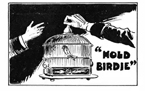 Farce Prints: Hold Birdie, a farce, Duke of Yorks Theatre, London