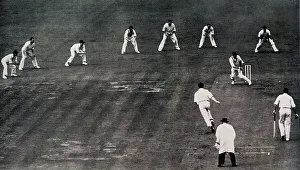 Bailey Prints: Hole batting to Truman in final test