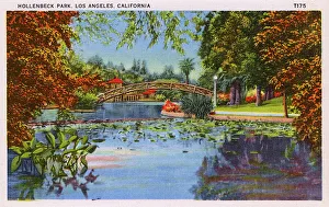 Pond Collection: Hollenbeck Park, Los Angeles, California, USA