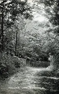 Dappled Prints: Hollin's Lane, Silverdale, Lancashire Date: circa 1909