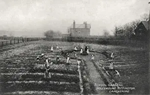 Hollymount School, Tottington - School Gardens