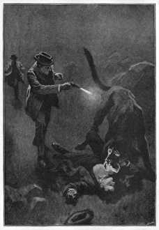 Doyle Collection: Holmes / Hound / Baskerville