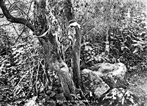 Well Prints: Holy Well, Church Island, Lough Beg