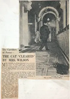 National Archives Prints: Home office cat story