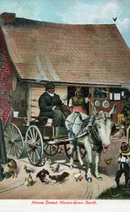 Lives Collection: Home Sweet Home down South - Kentucky, USA