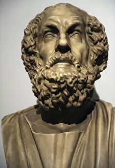Odyssey Gallery: Homer. Bust