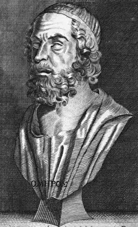 Homer Prints: Homer / Bust / Phinn