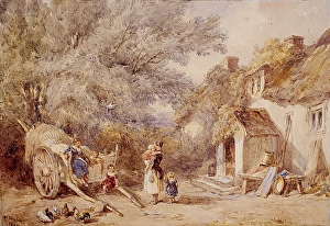Tayler Gallery: The Homestead