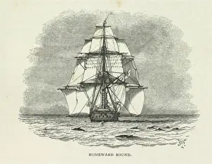 Darwin200 Prints: Homeward Bound