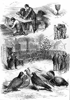 Images Dated 15th February 2005: Homing Pigeon Contest at the Alexandra Palace, 1875