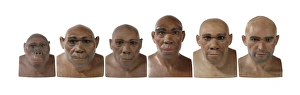 Homo sapiens, Cro-Magnon man