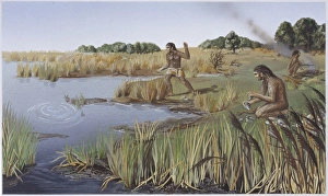 Acheulian Gallery: Homo erectus, Acheulian man