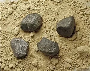 Pebble Gallery: Homo habilis tools