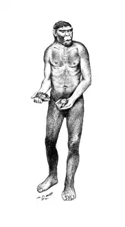 Theria Prints: Homo heidelbergensis, Boxgrove Man