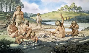 Angus Collection: Homo neanderthalensis in action at Swanscombe, UK