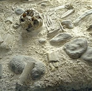 Homo neanderthalensis, Neanderthal Man burial site (Teshik-T