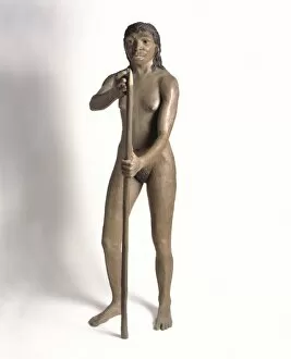 Anthropological Collection: Homo neanderthalensis, Neanderthal Woman (Tabun C1)