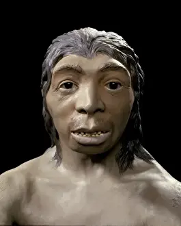 Homo neanderthalensis, Neanderthal Woman (Tabun C1)