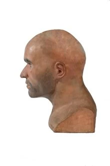 Haplorhini Gallery: Homo sapiens, Cro-Magnon man