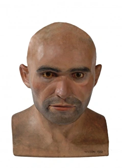 Homo sapiens, Cro-Magnon man