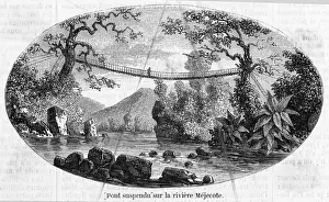 Honduras Mejocote R