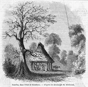 Honduras Prints: Honduras Rancho