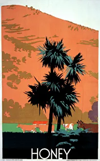 Adverts Gallery: Honey poster