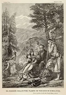 HOOKER (1817 - 1911