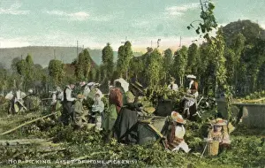 Wires Prints: Hop Pickers