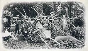 Kentish Gallery: Hop Pickers 1900