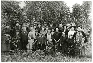 Images Dated 29th May 2019: Hop pickers in Kent 1911