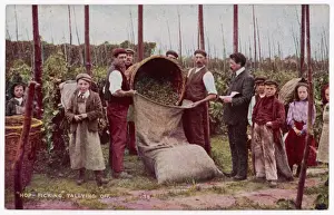 Hop Pickers Tally Off