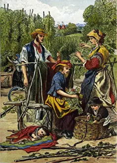 Pick Prints: Hop Picking
