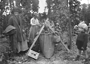 Pick Prints: Hop picking in Kent