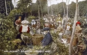 Baskets Collection: Hop Picking in Kent - Boughton District