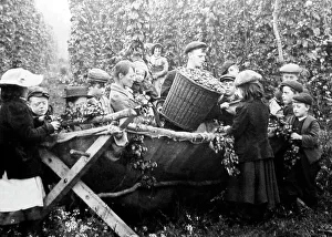 Picking Prints: Hop picking in Kent, Victorian period