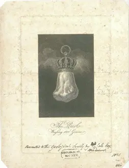 Grains Prints: The Hope Pearl