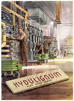 Hordern Richmond Hydulignum High Duty Wood