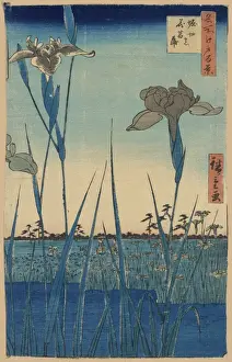 Iris Prints: Horikiri iris garden