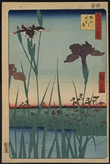 Horikiri iris garden
