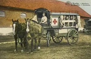 Sided Prints: Horse Ambulance at Beverloo Training Camp, Belgium