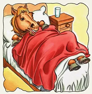 Images Dated 31st May 2007: Horse in bed