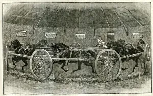 Albans Prints: Horse Breaking at St. Albans - The Leisure Hour 1895
