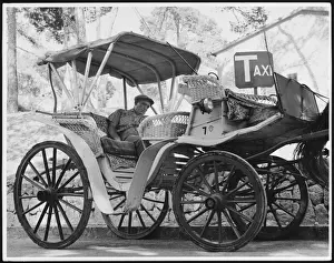 Horse Cab in Majorca