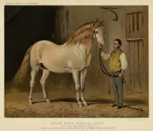 Mane Prints: Horse Carriage