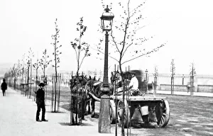 Horse and cart on London Embankment