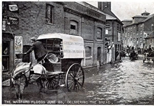 Watford Collection: Horse and cart making deliveries in a flooded street