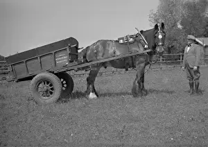 Tyres Prints: Horse and cart with owner
